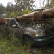 Photo: Fox40/screenshot